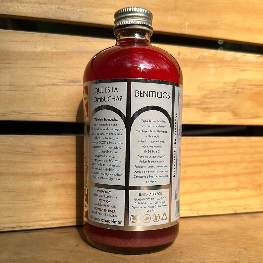 KOMBUCHA MORAS MARACUYA MANDOLIN KOMBUCHA