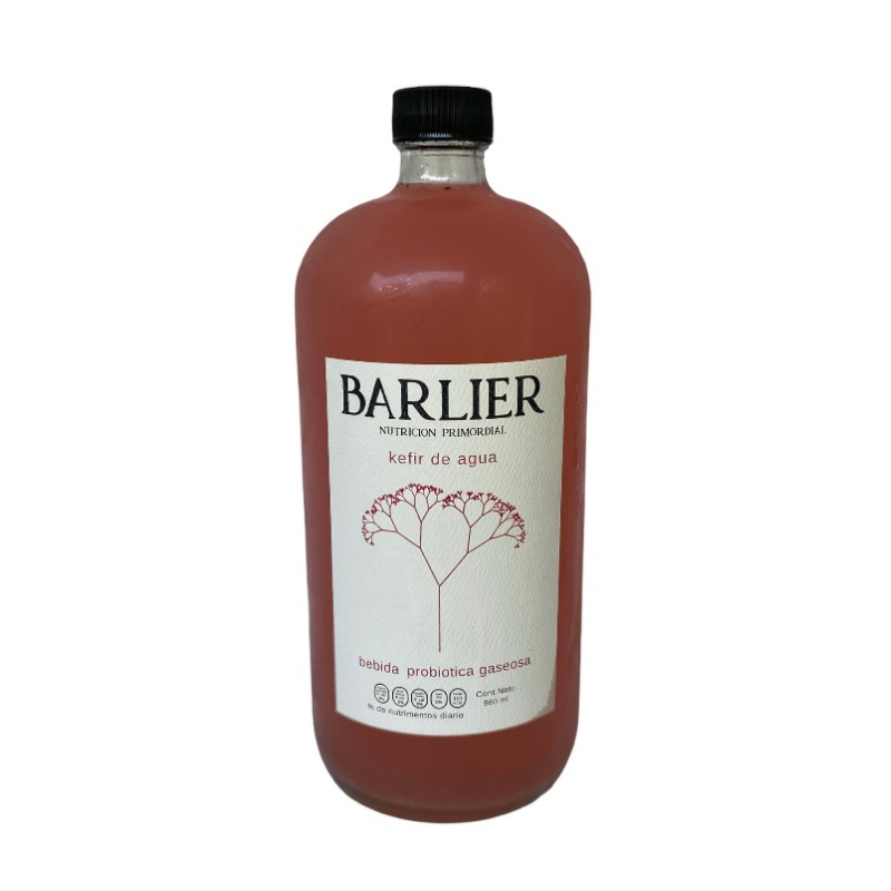 KEFIR DE AGUA BEBIDA PROBIOTICA GASEOSA FRAMBUESA LICHI 480 ML BARLIER