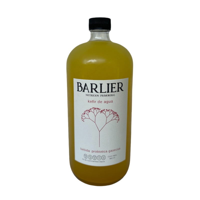 KEFIR DE AGUA BEBIDA PROBIOTICA GASEOSA LIMON JENGIBRE 480 ML BARLIER