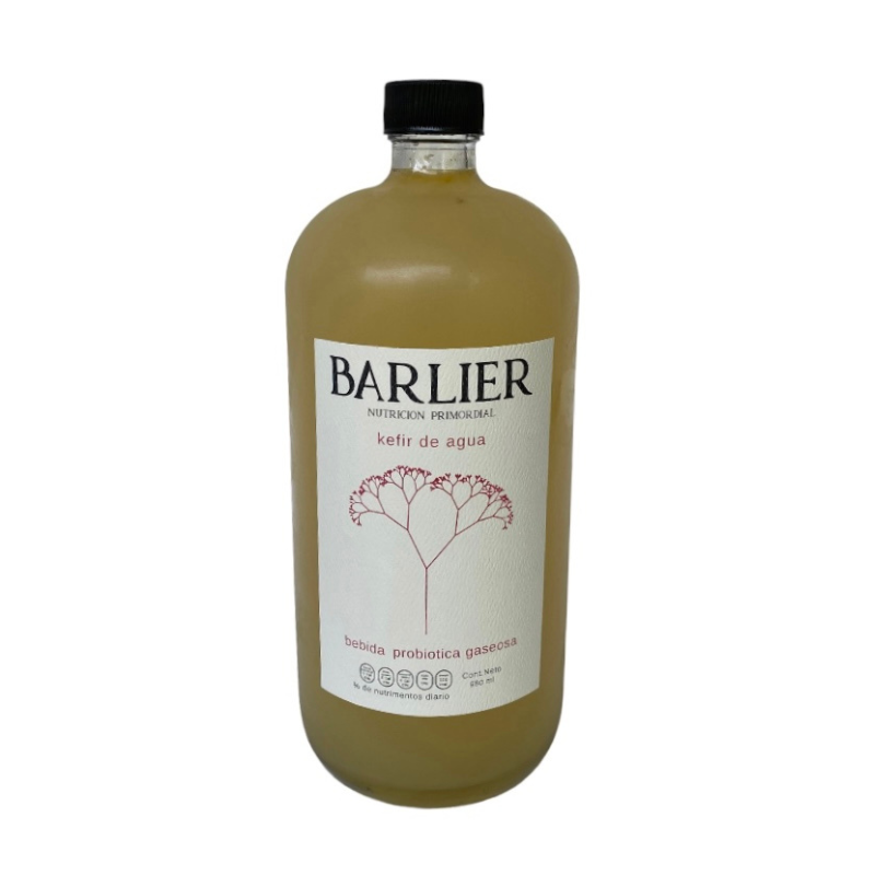 KEFIR DE AGUA BEBIDA PROBIOTICA GASEOSA MANDARINA MARACUYA 480 ML BARLIER