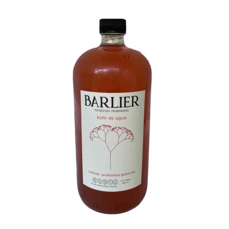 KEFIR DE AGUA BEBIDA PROBIOTICA GASEOSA TE ROOIBOS FRUTOS ROJOS 480 ML BARLIER