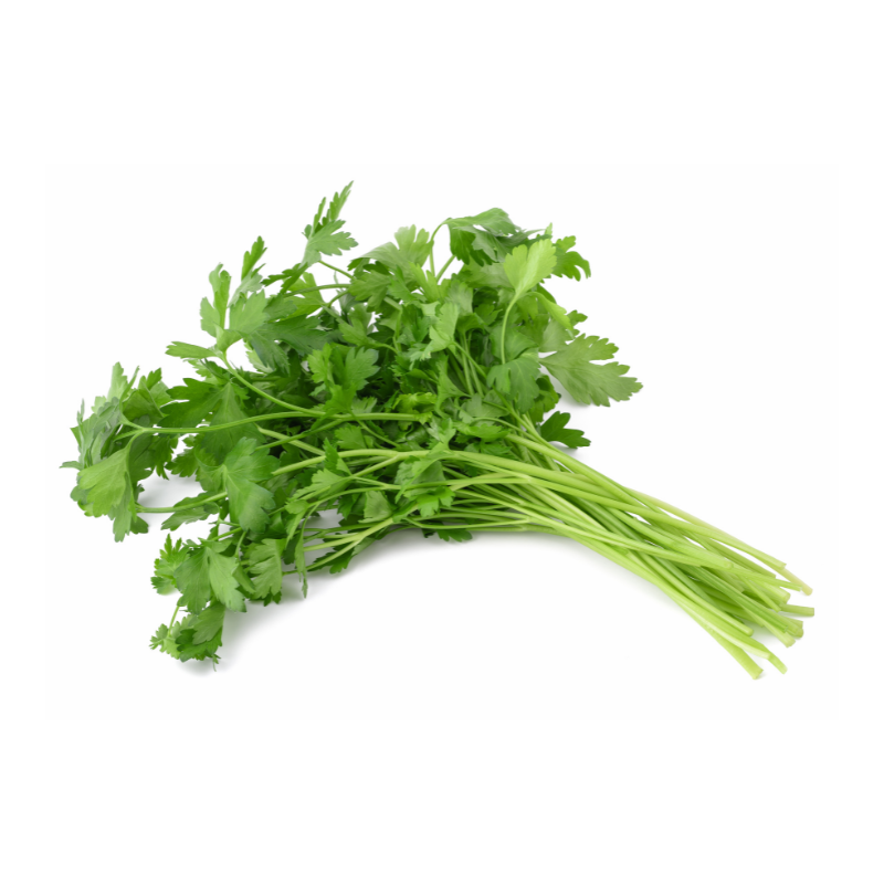 CILANTRO 200 G VERUM