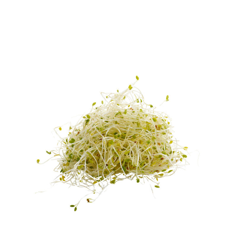 GERMINADO DE SOYA VERUM