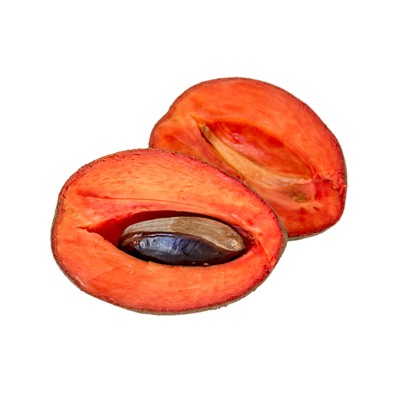 MAMEY VERUM