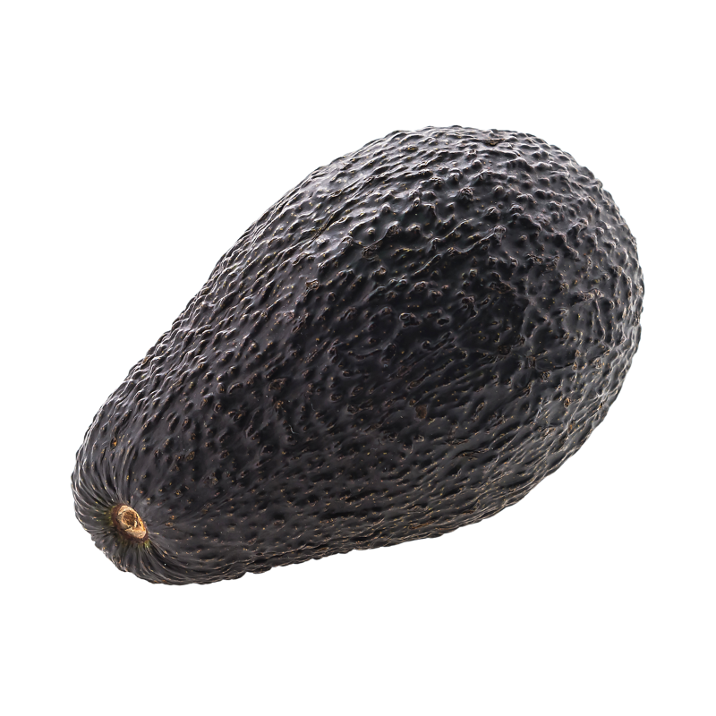 AGUACATE VERUM