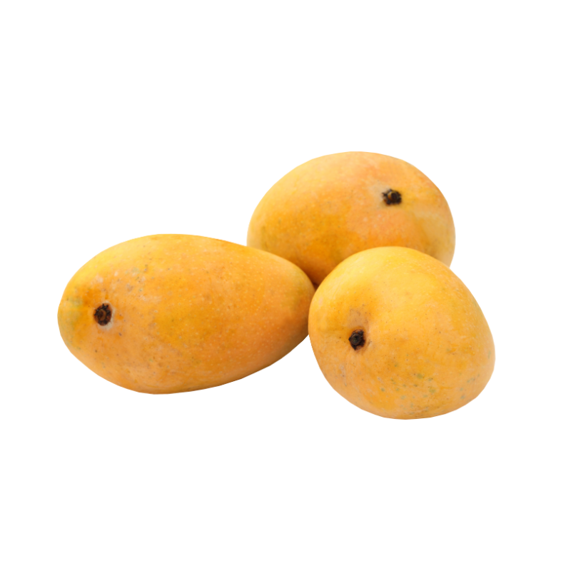 MANGO ATAULFO VERUM