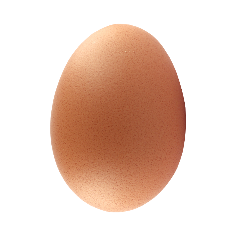 HUEVO ROJO ORGANICO POR PIEZA NUESTRA TIERRA