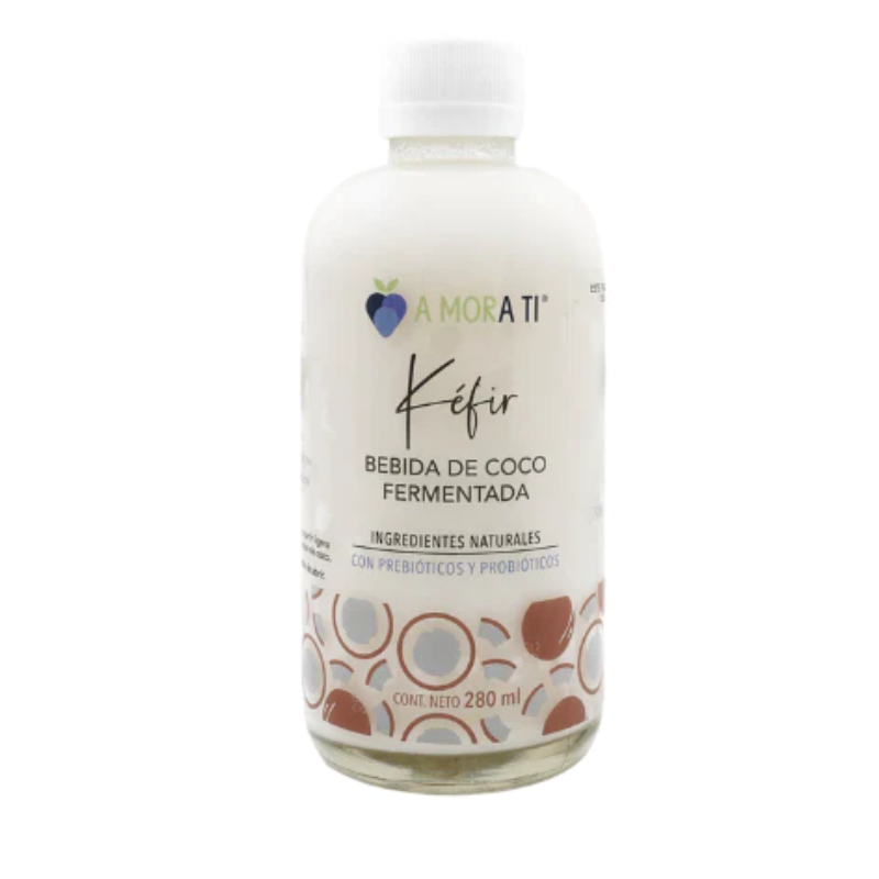 KEFIR DE COCO A MORA TI 280 ML VIDA BEBIDA