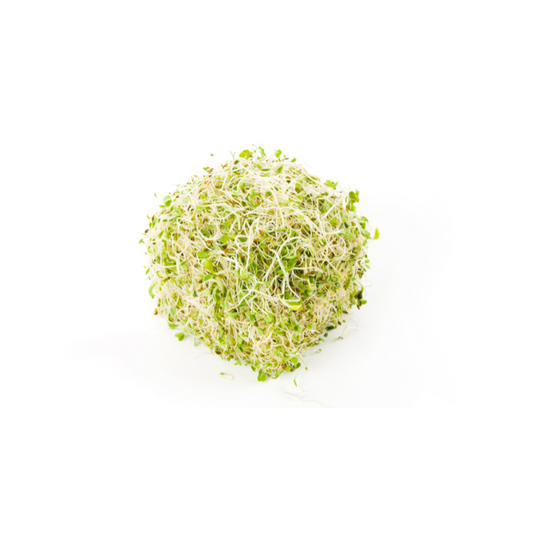 GERMINADO DE ALFALFA BOLSA VERUM