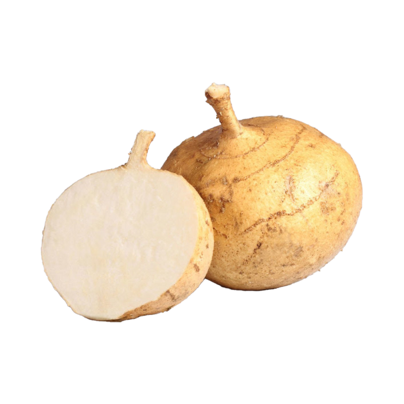 JICAMA PZ VERUM