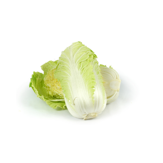 LECHUGA OREJONA PZ VERUM