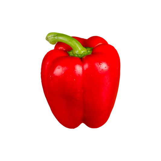 PIMIENTO ROJO PZ VERUM
