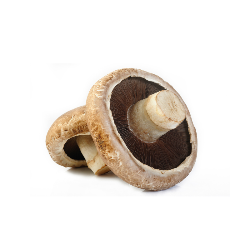 PORTOBELLO 250 G VERUM