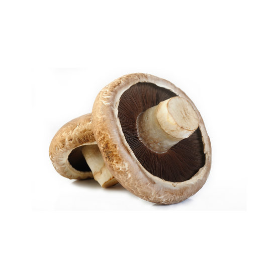 PORTOBELLO 250 G VERUM